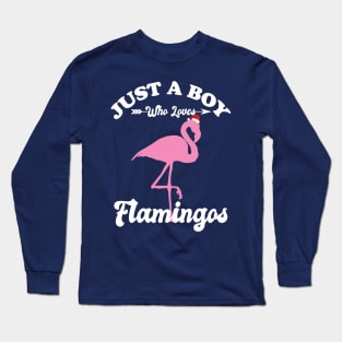 Just a Boy Who Loves Flamingos Long Sleeve T-Shirt